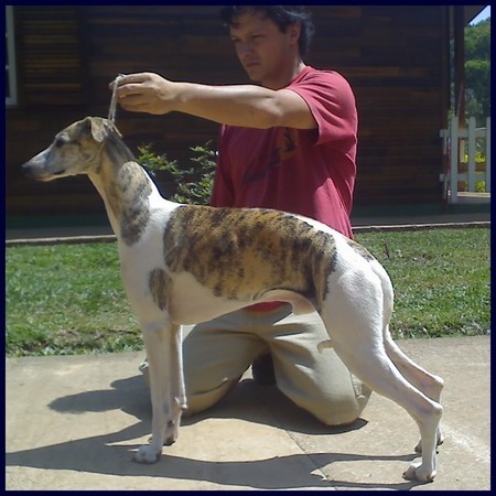 Sto Alberto's Long Tale  - Spencer